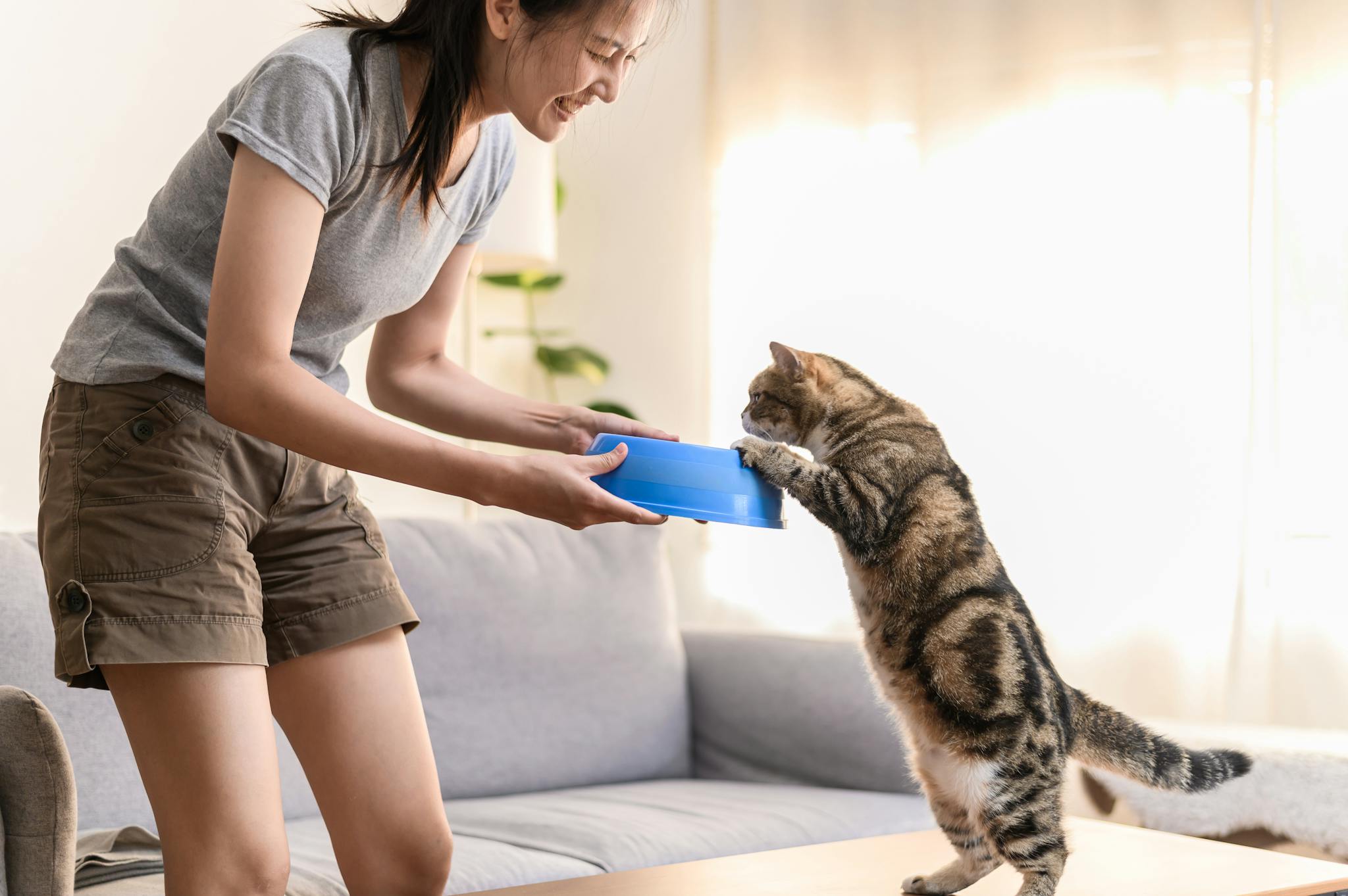 A cheerful interaction between a young woman and her pet cat at home.