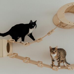 Photo by Arina Krasnikova Two cats exploring an indoor wooden cat tower. Ideal for pet lovers and home decor inspiration.